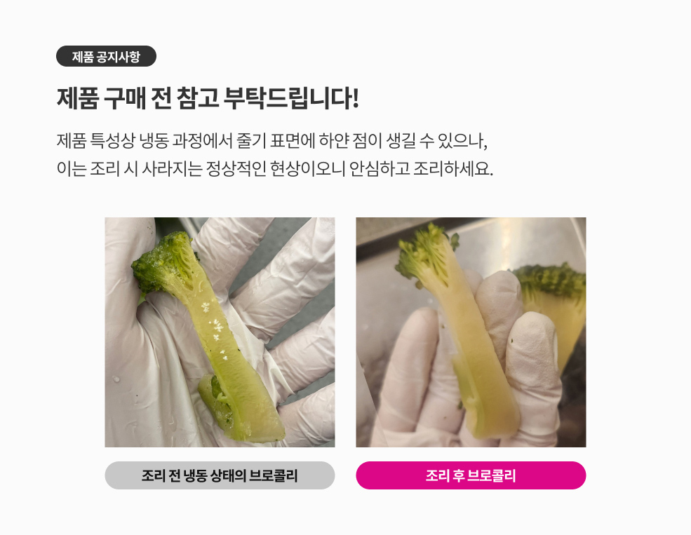 감바스 공지