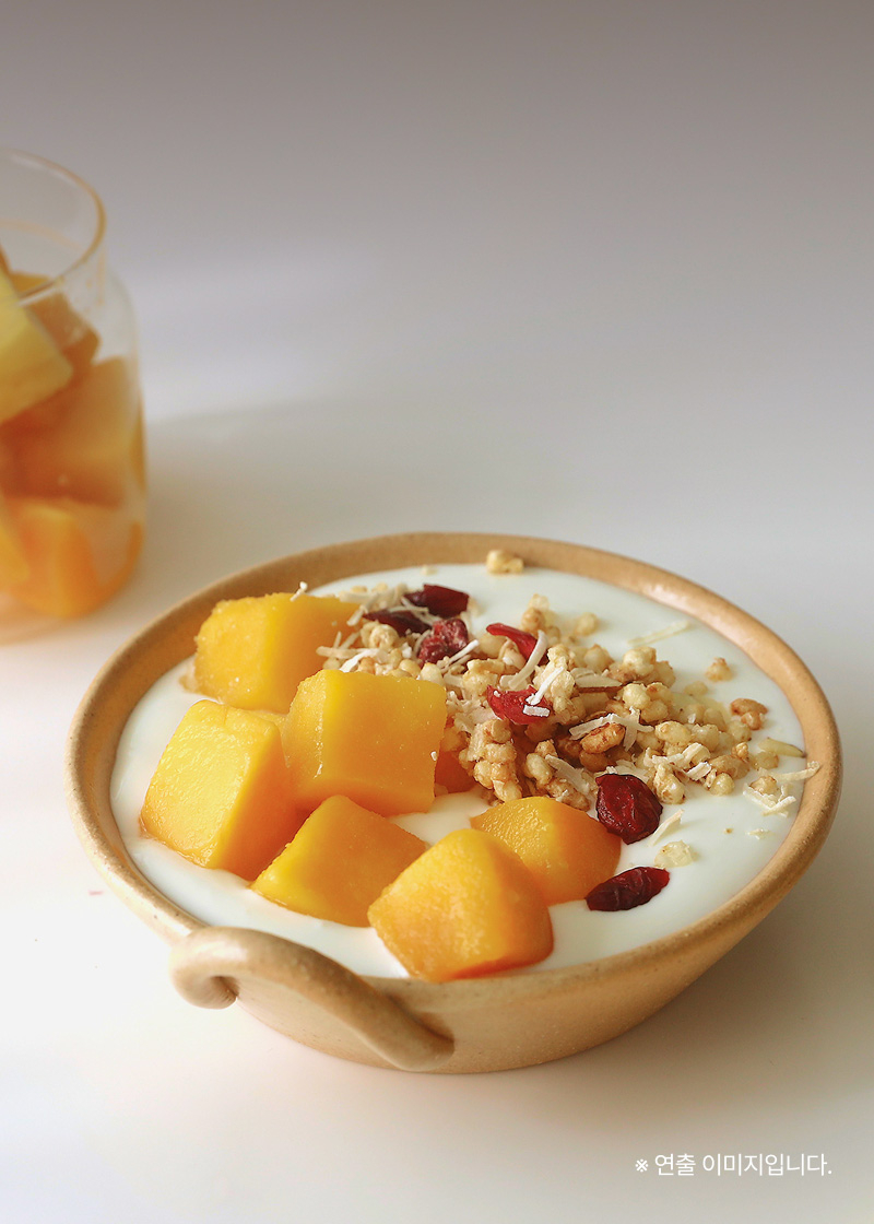 냉동망고다이스